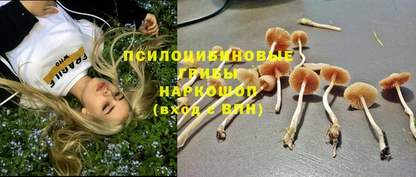 дживик Магадан