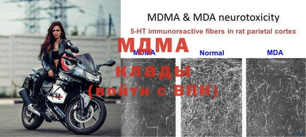 ГАЛЛЮЦИНОГЕННЫЕ ГРИБЫ Магас