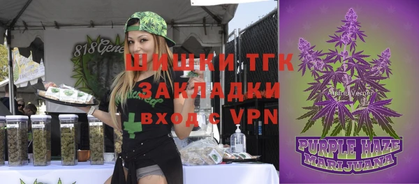 ГАЛЛЮЦИНОГЕННЫЕ ГРИБЫ Магас