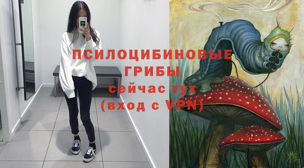 ГАЛЛЮЦИНОГЕННЫЕ ГРИБЫ Магас