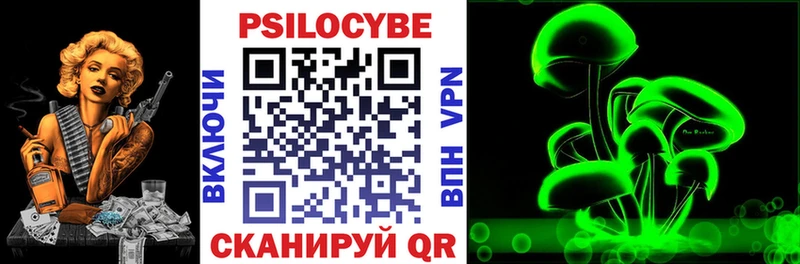 Галлюциногенные грибы Psilocybe  Лермонтов 